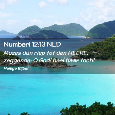Picture 02 - Numberi 12:13 NLD - Mozes dan riep tot den HEERE, zeggende: O God! - Bible Verse Picture