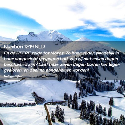 Picture 02 - Numberi 12:14 NLD - En de HEERE zeide tot Mozes: Zo haar vader - Bible Verse Picture