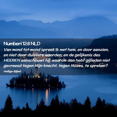 Picture 02 - Numberi 12:8 NLD - Van mond tot mond spreek Ik met hem, en door - Bible Verse Picture