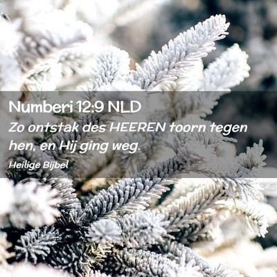 Picture 02 - Numberi 12:9 NLD - Zo ontstak des HEEREN toorn tegen hen, en Hij - Bible Verse Picture