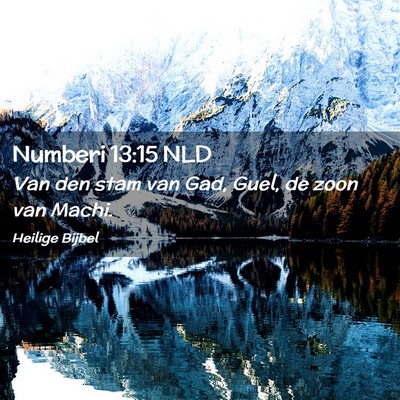 Picture 02 - Numberi 13:15 NLD - Van den stam van Gad, Guel, de zoon van - Bible Verse Picture