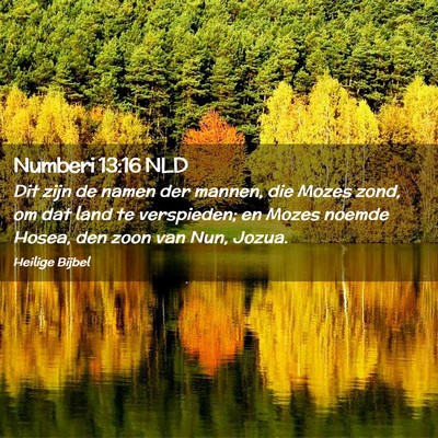 Picture 02 - Numberi 13:16 NLD - Dit zijn de namen der mannen, die Mozes zond, om - Bible Verse Picture