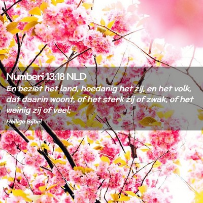 Picture 02 - Numberi 13:18 NLD - En beziet het land, hoedanig het zij, en het - Bible Verse Picture