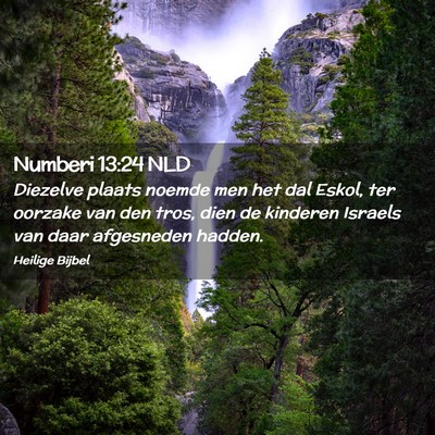 Picture 02 - Numberi 13:24 NLD - Diezelve plaats noemde men het dal Eskol, ter - Bible Verse Picture