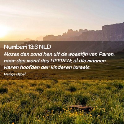 Picture 02 - Numberi 13:3 NLD - Mozes dan zond hen uit de woestijn van Paran, - Bible Verse Picture