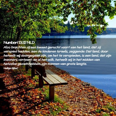 Picture 02 - Numberi 13:32 NLD - Alzo brachten zij een kwaad gerucht voort van het - Bible Verse Picture