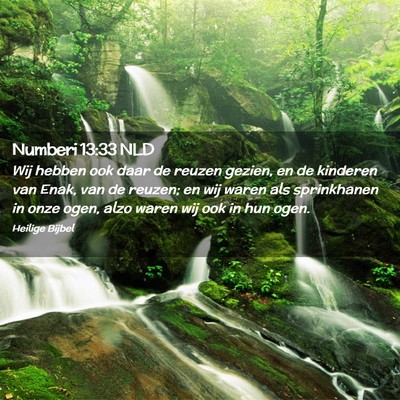 Picture 02 - Numberi 13:33 NLD - Wij hebben ook daar de reuzen gezien, en de - Bible Verse Picture