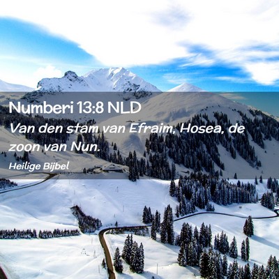 Picture 02 - Numberi 13:8 NLD - Van den stam van Efraim, Hosea, de zoon van - Bible Verse Picture