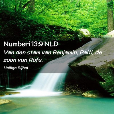 Picture 02 - Numberi 13:9 NLD - Van den stam van Benjamin, Palti, de zoon van - Bible Verse Picture