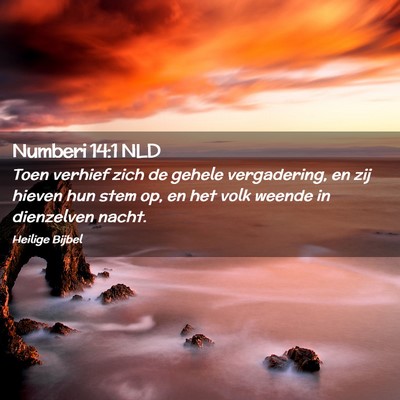 Picture 02 - Numberi 14:1 NLD - Toen verhief zich de gehele vergadering, en zij - Bible Verse Picture