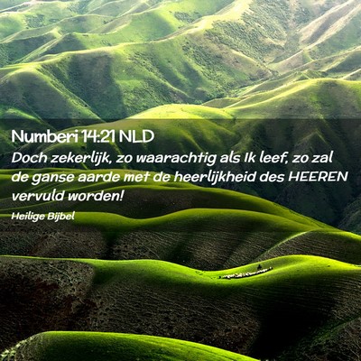 Picture 02 - Numberi 14:21 NLD - Doch zekerlijk, zo waarachtig als Ik leef, zo zal - Bible Verse Picture
