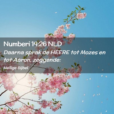 Picture 02 - Numberi 14:26 NLD - Daarna sprak de HEERE tot Mozes en tot Aaron, - Bible Verse Picture