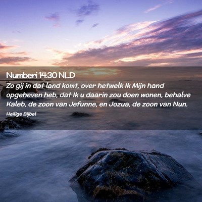 Picture 02 - Numberi 14:30 NLD - Zo gij in dat land komt, over hetwelk Ik Mijn - Bible Verse Picture