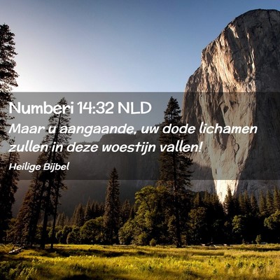 Picture 02 - Numberi 14:32 NLD - Maar u aangaande, uw dode lichamen zullen in deze - Bible Verse Picture