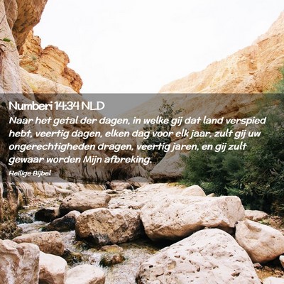 Picture 02 - Numberi 14:34 NLD - Naar het getal der dagen, in welke gij dat land - Bible Verse Picture