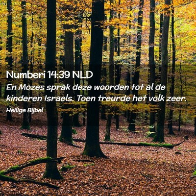 Picture 02 - Numberi 14:39 NLD - En Mozes sprak deze woorden tot al de kinderen - Bible Verse Picture
