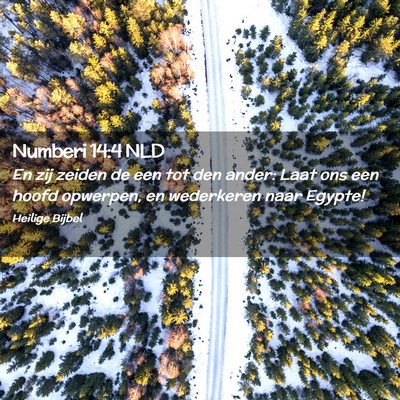 Picture 02 - Numberi 14:4 NLD - En zij zeiden de een tot den ander: Laat ons een - Bible Verse Picture