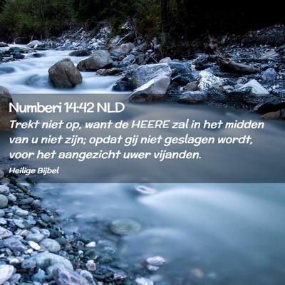 Picture 02 - Numberi 14:42 NLD - Trekt niet op, want de HEERE zal in het midden - Bible Verse Picture