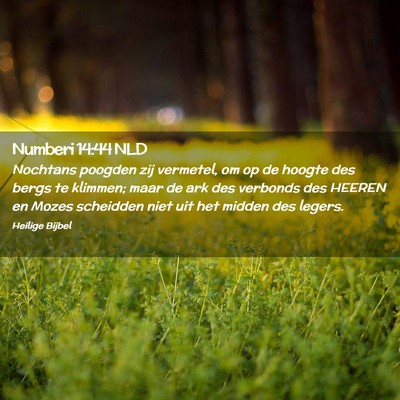 Picture 02 - Numberi 14:44 NLD - Nochtans poogden zij vermetel, om op de hoogte - Bible Verse Picture