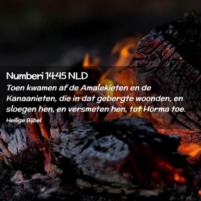 Picture 02 - Numberi 14:45 NLD - Toen kwamen af de Amalekieten en de Kanaanieten, - Bible Verse Picture