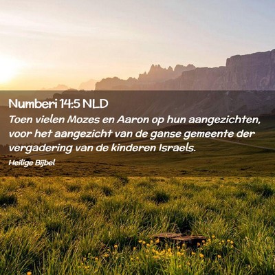 Picture 02 - Numberi 14:5 NLD - Toen vielen Mozes en Aaron op hun aangezichten, - Bible Verse Picture