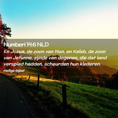 Picture 02 - Numberi 14:6 NLD - En Jozua, de zoon van Nun, en Kaleb, de zoon van - Bible Verse Picture