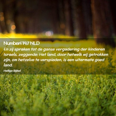Picture 02 - Numberi 14:7 NLD - En zij spraken tot de ganse vergadering der - Bible Verse Picture