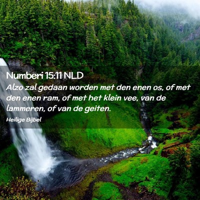 Picture 02 - Numberi 15:11 NLD - Alzo zal gedaan worden met den enen os, of met - Bible Verse Picture