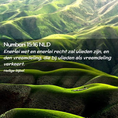 Picture 02 - Numberi 15:16 NLD - Enerlei wet en enerlei recht zal ulieden zijn, en - Bible Verse Picture