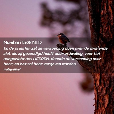 Picture 02 - Numberi 15:28 NLD - En de priester zal de verzoening doen over de - Bible Verse Picture