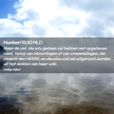 Picture 02 - Numberi 15:30 NLD - Maar de ziel, die iets gedaan zal hebben met - Bible Verse Picture