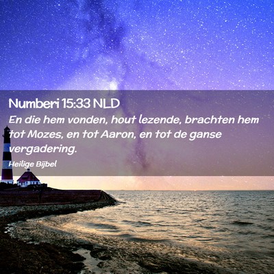 Picture 02 - Numberi 15:33 NLD - En die hem vonden, hout lezende, brachten hem tot - Bible Verse Picture