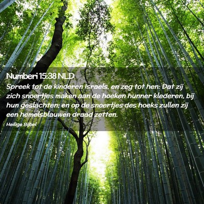 Picture 02 - Numberi 15:38 NLD - Spreek tot de kinderen Israels, en zeg tot hen: - Bible Verse Picture