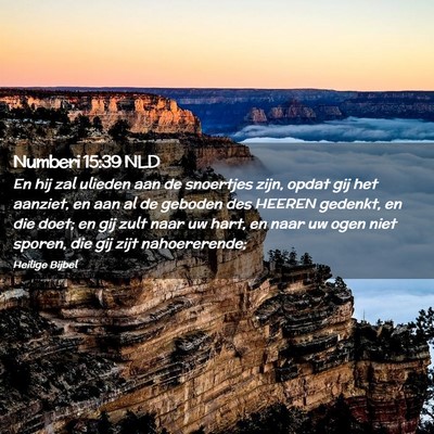 Picture 02 - Numberi 15:39 NLD - En hij zal ulieden aan de snoertjes zijn, opdat - Bible Verse Picture