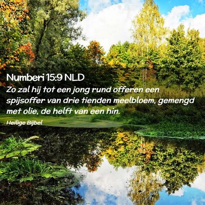 Picture 02 - Numberi 15:9 NLD - Zo zal hij tot een jong rund offeren een - Bible Verse Picture