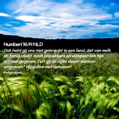 Picture 02 - Numberi 16:14 NLD - Ook hebt gij ons niet gebracht in een land, dat - Bible Verse Picture