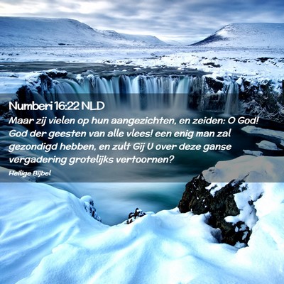 Picture 02 - Numberi 16:22 NLD - Maar zij vielen op hun aangezichten, en zeiden: O - Bible Verse Picture