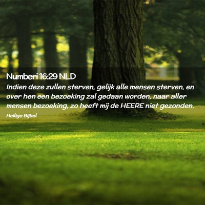 Picture 02 - Numberi 16:29 NLD - Indien deze zullen sterven, gelijk alle mensen - Bible Verse Picture