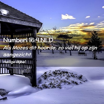 Picture 02 - Numberi 16:4 NLD - Als Mozes dit hoorde, zo viel hij op zijn - Bible Verse Picture