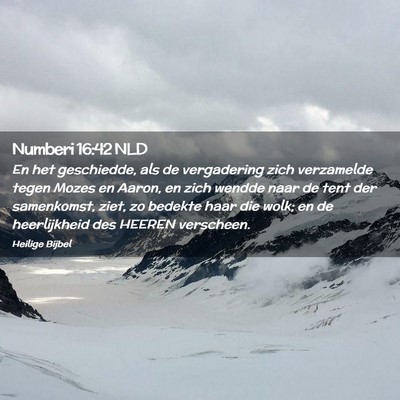 Picture 02 - Numberi 16:42 NLD - En het geschiedde, als de vergadering zich - Bible Verse Picture