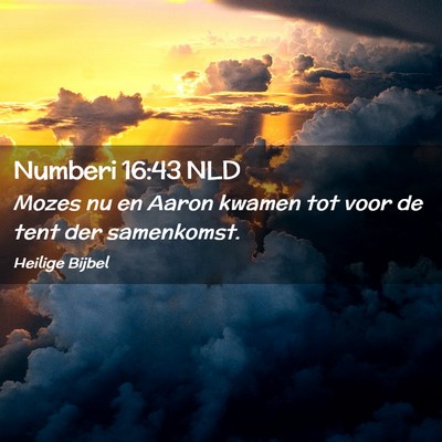 Picture 02 - Numberi 16:43 NLD - Mozes nu en Aaron kwamen tot voor de tent der - Bible Verse Picture