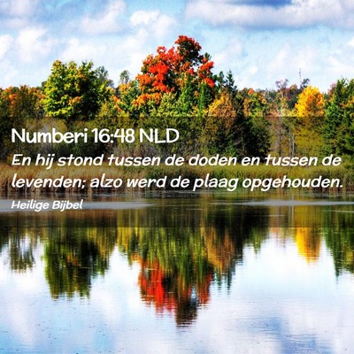Picture 02 - Numberi 16:48 NLD - En hij stond tussen de doden en tussen de - Bible Verse Picture