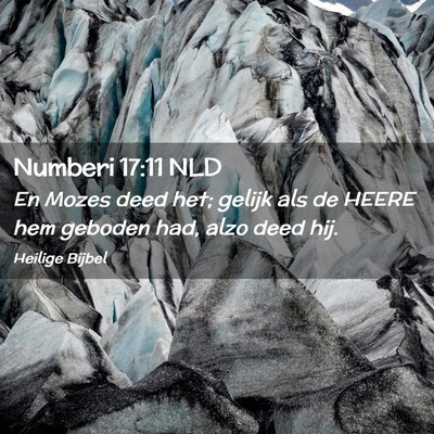 Picture 02 - Numberi 17:11 NLD - En Mozes deed het; gelijk als de HEERE hem - Bible Verse Picture