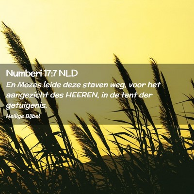 Picture 02 - Numberi 17:7 NLD - En Mozes leide deze staven weg, voor het - Bible Verse Picture