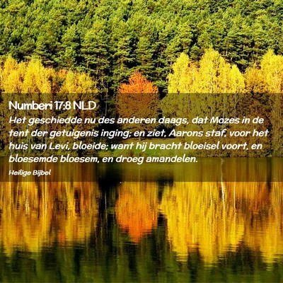 Picture 02 - Numberi 17:8 NLD - Het geschiedde nu des anderen daags, dat Mozes in - Bible Verse Picture