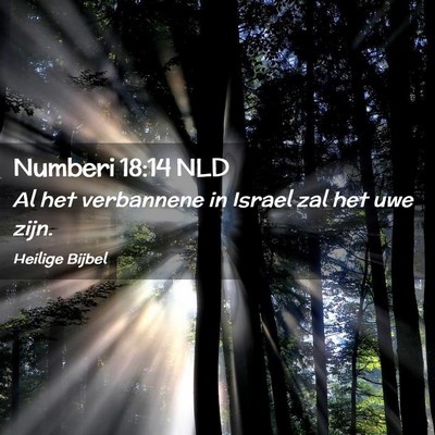 Picture 02 - Numberi 18:14 NLD - Al het verbannene in Israel zal het uwe - Bible Verse Picture
