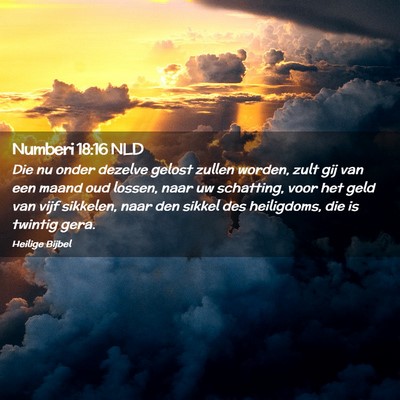 Picture 02 - Numberi 18:16 NLD - Die nu onder dezelve gelost zullen worden, zult - Bible Verse Picture
