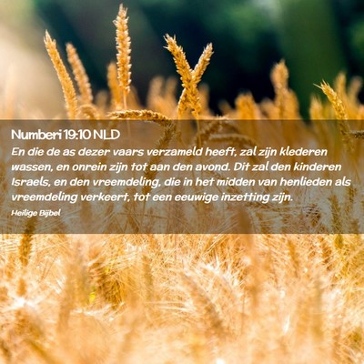 Picture 02 - Numberi 19:10 NLD - En die de as dezer vaars verzameld heeft, zal - Bible Verse Picture