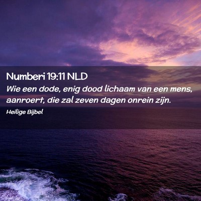 Picture 02 - Numberi 19:11 NLD - Wie een dode, enig dood lichaam van een mens, - Bible Verse Picture