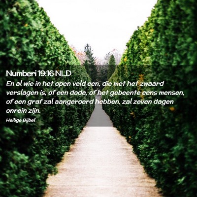 Picture 02 - Numberi 19:16 NLD - En al wie in het open veld een, die met het - Bible Verse Picture